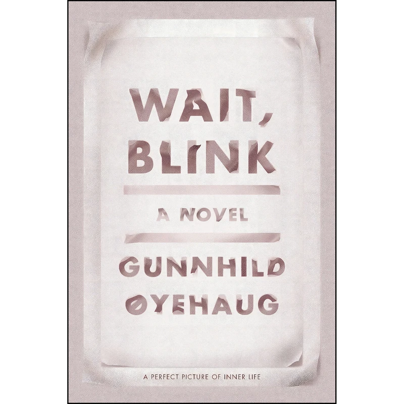 کتاب Wait, Blink اثر جمعي از نويسندگان انتشارات Farrar, Straus and Giroux