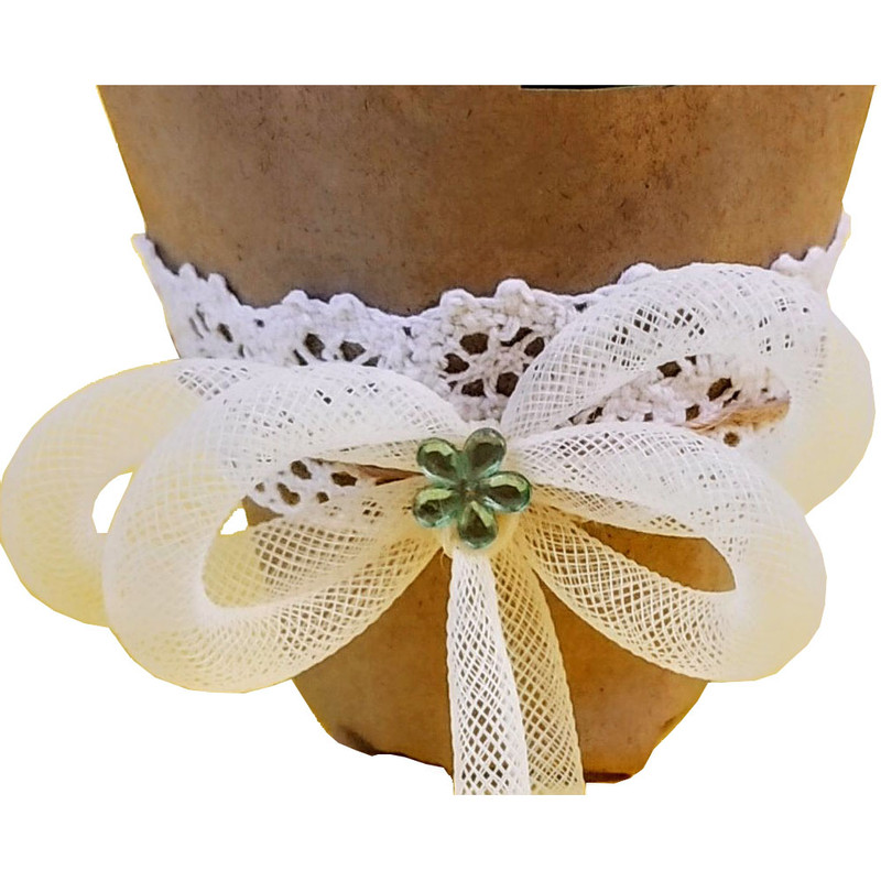 گیاه طبیعی کاکتوس مدل A-14