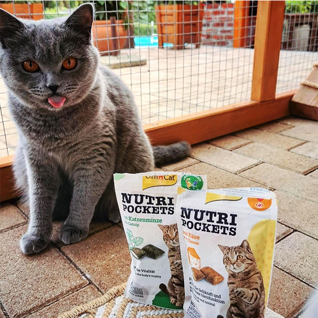 تشویقی گربه جیم کت مدل طعم پنیری وزن 60 گرم