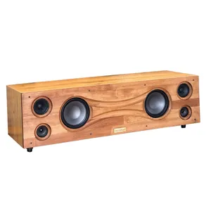 اسپیکر دکومینال مدل P300