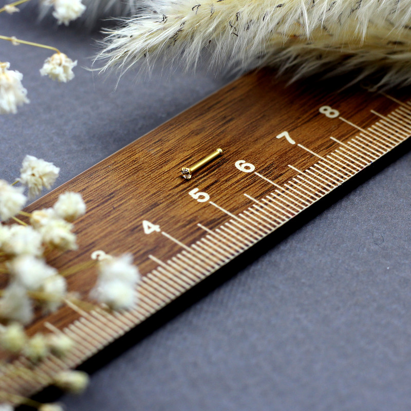 پیرسینگ بینی زنانه پایتخت مدل PS1017_A پیرسینگ بینی زنانه پایتخت مدل PS1017_A