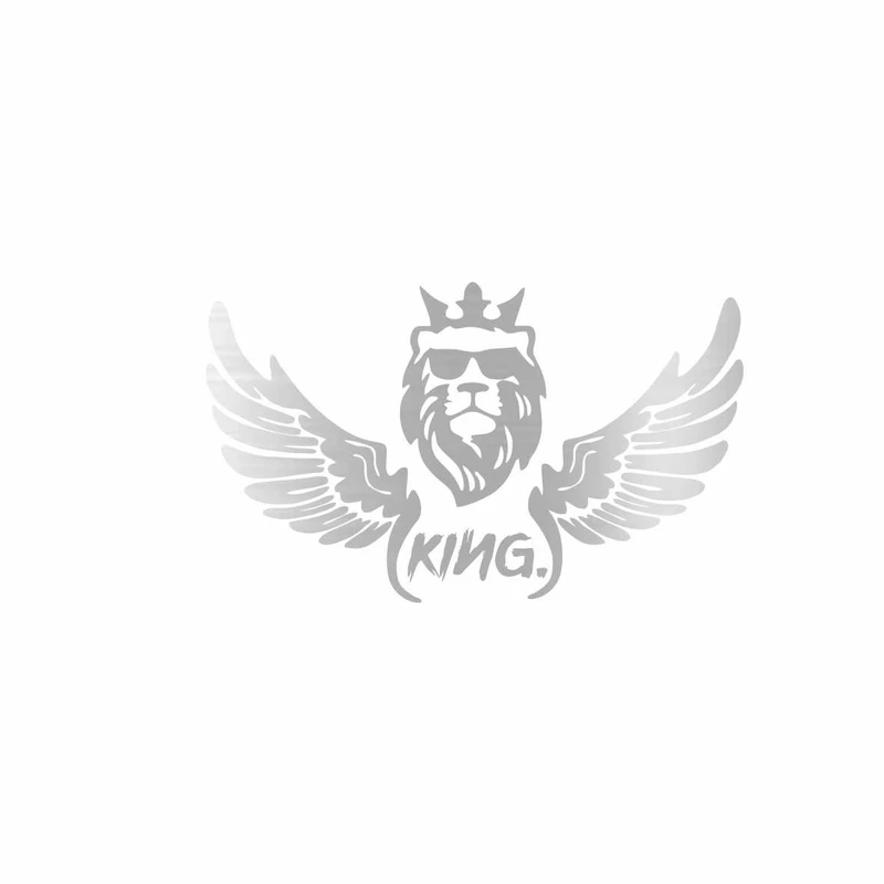 برچسب بدنه خودرو رادیانس طرح LionFly کد B41