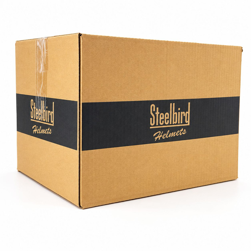 کلاه کاسکت بدون فک استیل برد مدل SBH-23 عینک‌ دار و طلق متحرک کد 2373