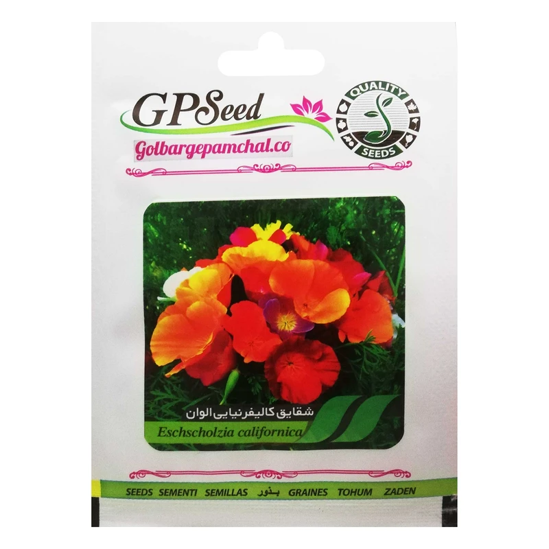 بذر گل شقایق کالیفرنیایی الوان گلبرگ پامچال کد GPF-062