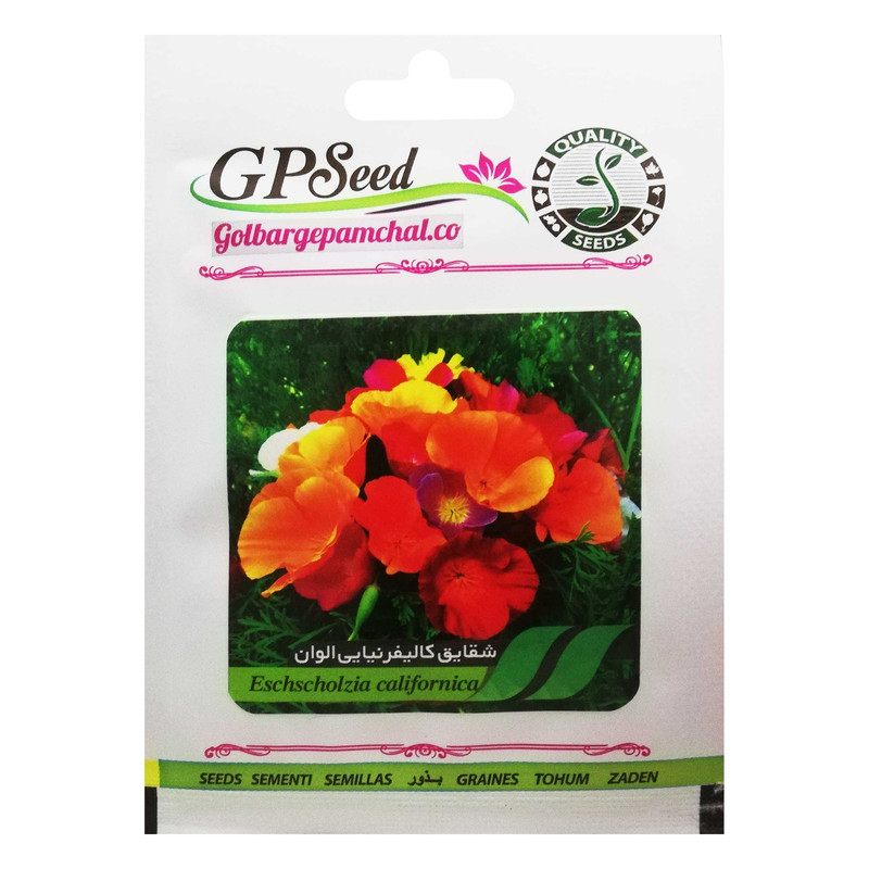 بذر گل شقایق کالیفرنیایی الوان گلبرگ پامچال کد GPF-062