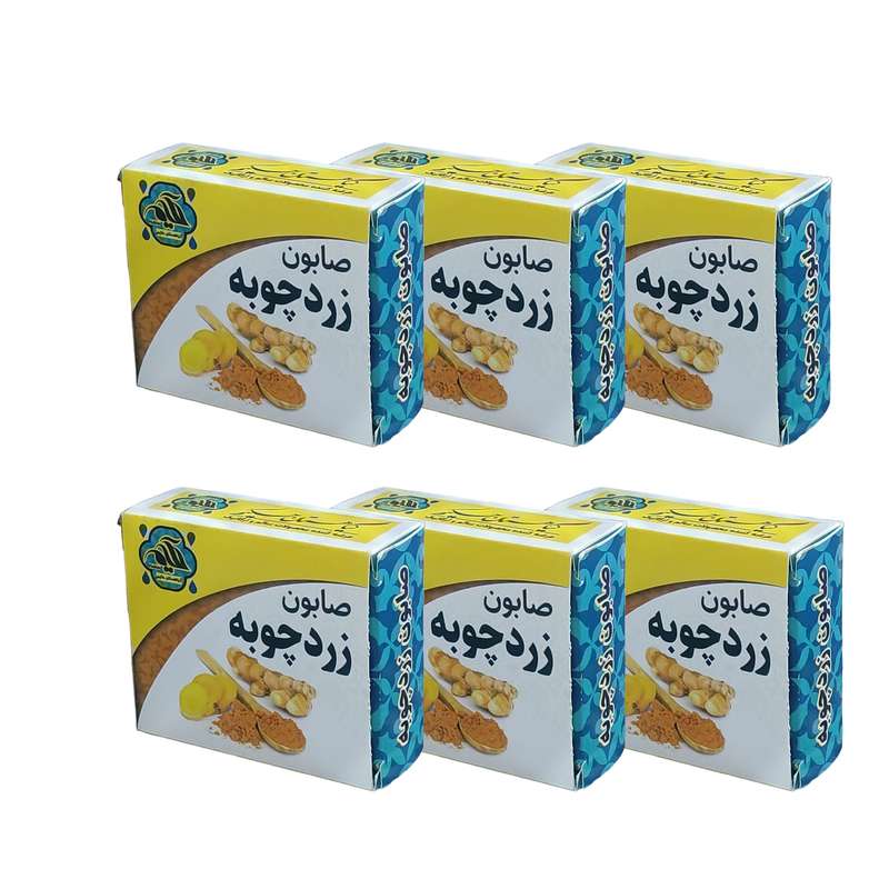 صابون شستشو گیاهستان حکیم مدل زردچوبه  وزن 70 گرم بسته شش عددی