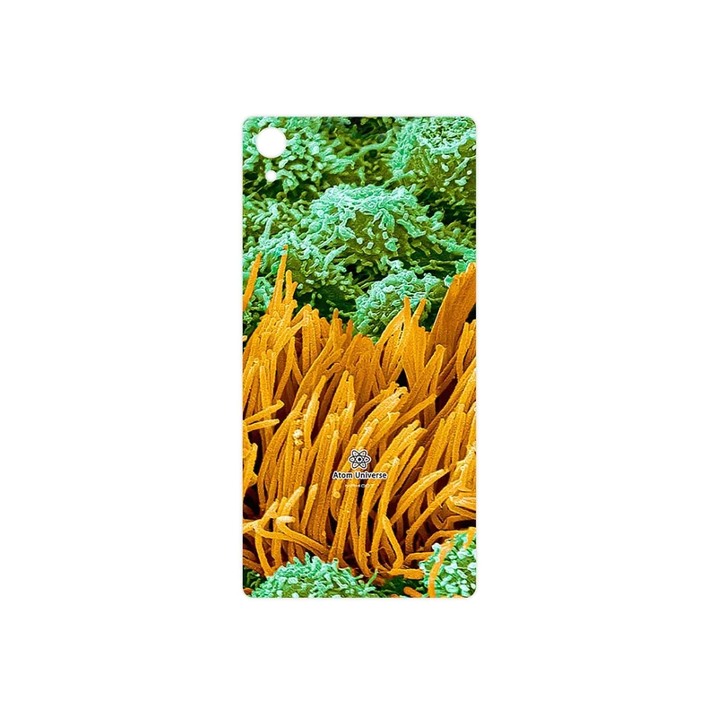 برچسب پوششی ماهوت مدل Atom Universe 6 مناسب برای گوشی موبایل سونی Xperia Z2