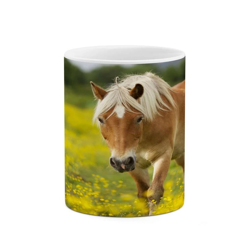 ماگ کاکتی مدل اسب کد mgh24270