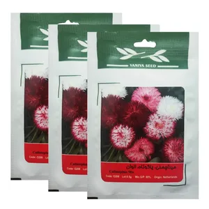 بذر گل مینا چمنی الوان وانیا سید کد O208 مجموعه 3 عددی