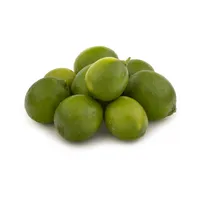 لیمو ترش برزیلی Fresh مقدار 500 گرم