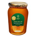 عسل چهل گیاه کوهستان سبلان مهرنوش - 1 کیلوگرم