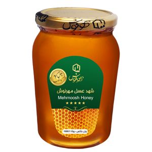 نقد و بررسی عسل چهل گیاه کوهستان سبلان مهرنوش - 1 کیلوگرم توسط خریداران