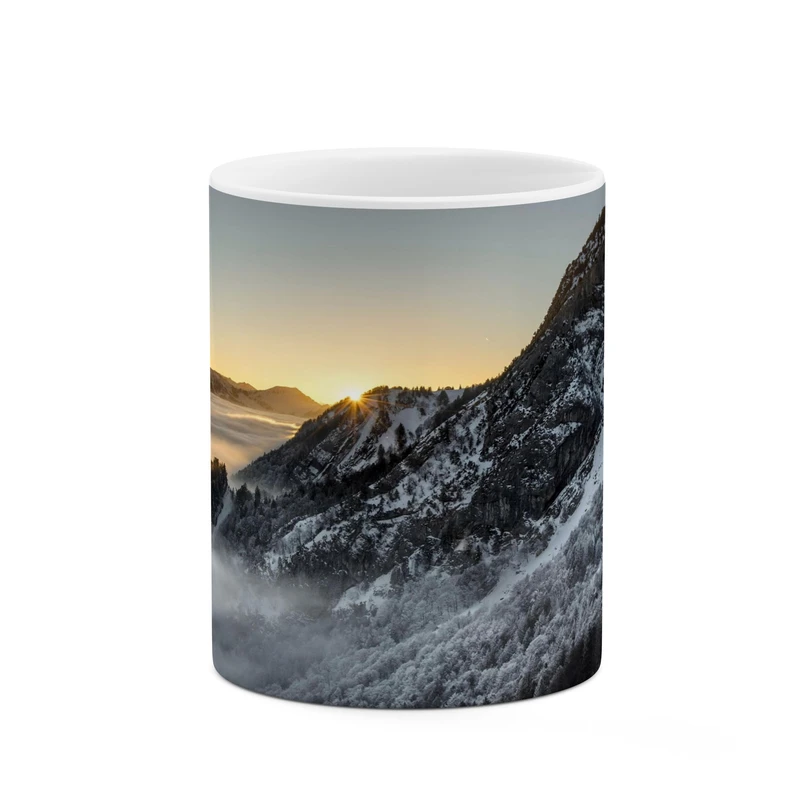 ماگ کاکتی مدل منظره کد mgh17840