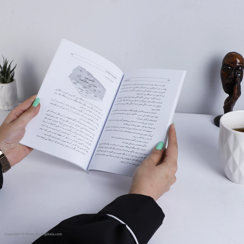 عکس شماره 6 : کتاب چه کسی پنیر مرا جابجا کرد؟ اثر اسپنسر جانسون انتشارات تیموری