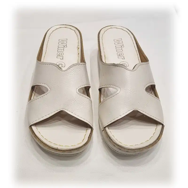 دمپایی زنانه مدل winer baran se