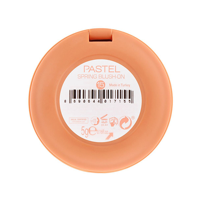 رژگونه پاستل مدل SPRING BLUSH_ON شماره 15