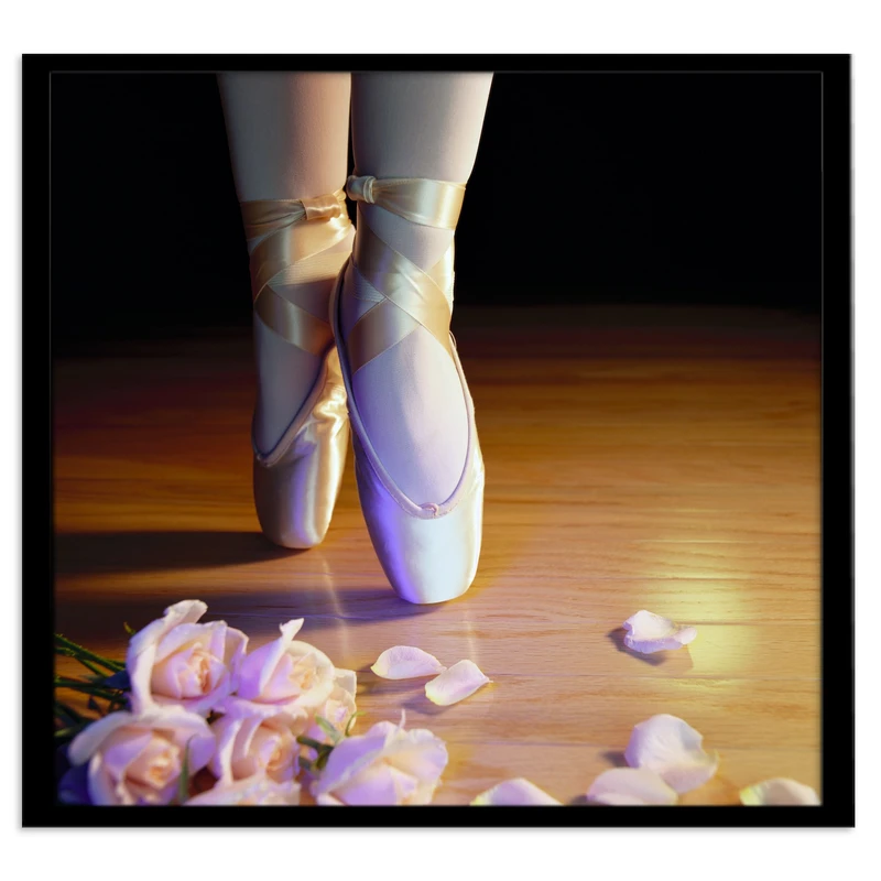 تابلو بکلیت طرح کفش باله مدل B-s1413