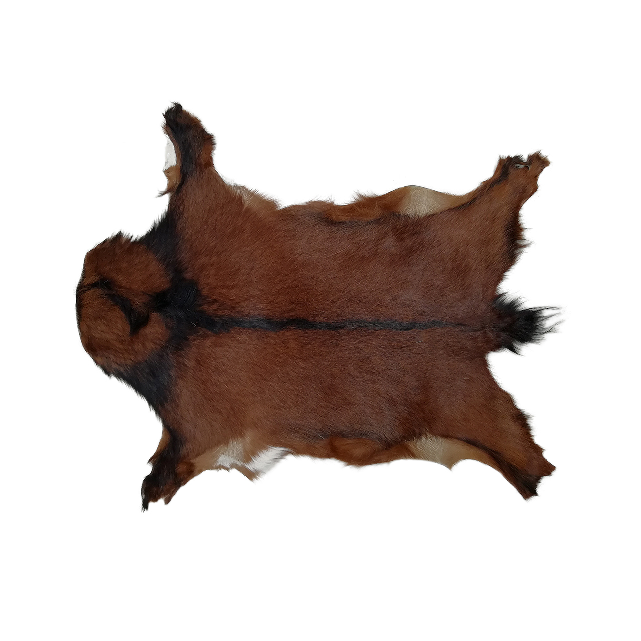 فرش پوست و چرم کمالی مدل AC-00519