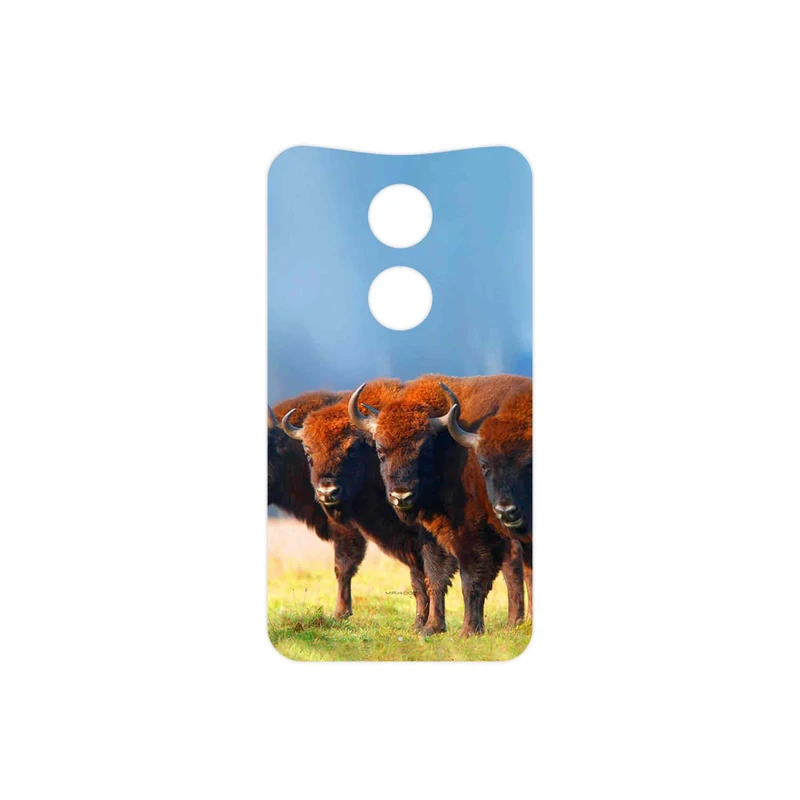 برچسب پوششی ماهوت مدل Buffalo مناسب برای گوشی موبایل موتورولا Moto X 2014