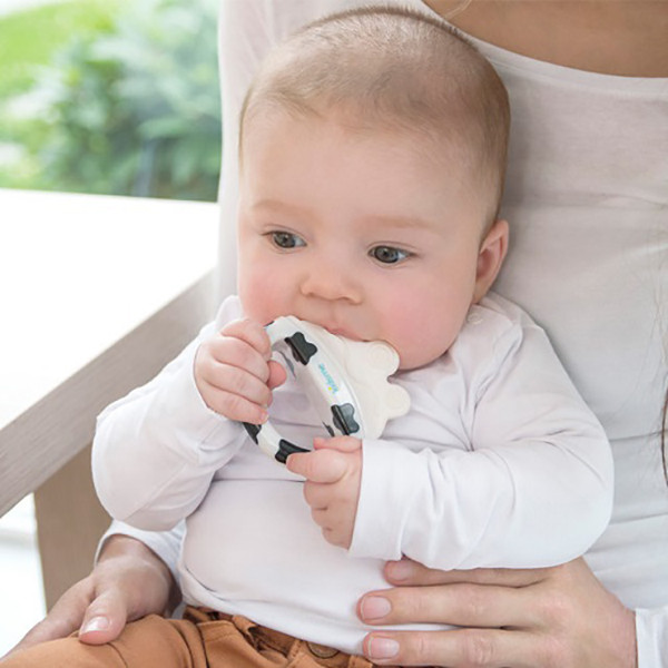 دندان گیر کودک کیدزمی مدل MOO MOO