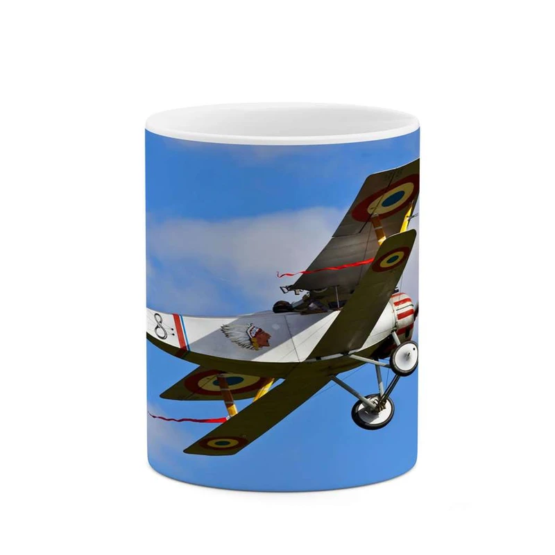 ماگ کاکتی مدل هواپیمای جنگنده کد mgh10682