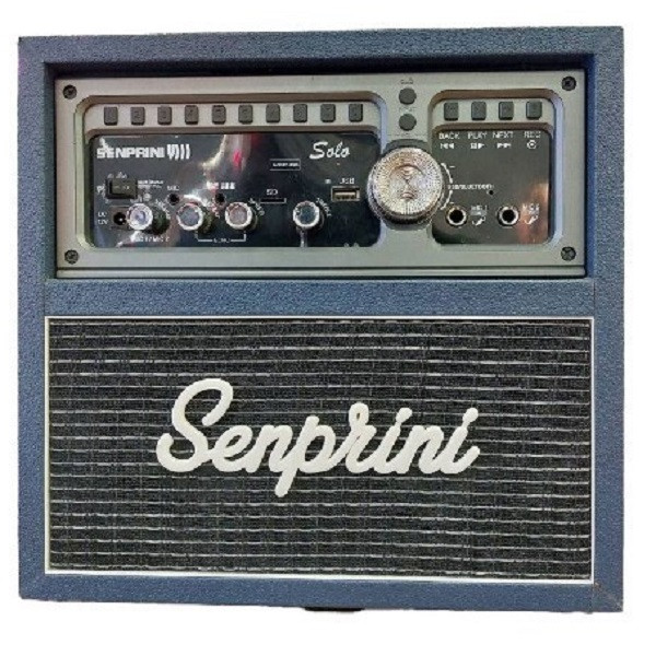 اکو همراه اکو چنگ مدل SOLO به همراه میکروفن بی سیم