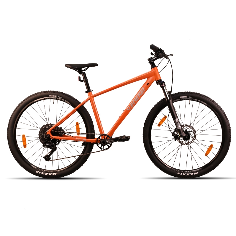 نکته خرید - قیمت روز دوچرخه کوهستان انرژی مدل EXP 1 سایز طوقه 29 خرید
