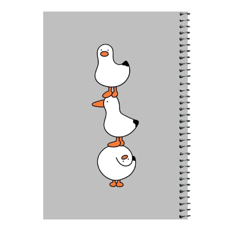 دفتر مشق 80 برگ اس جی طرح اردک های بامزه    