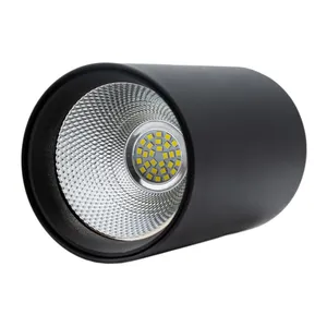 چراغ دکوراتیو 30 وات طلوع نورپایا مدل لئولد 