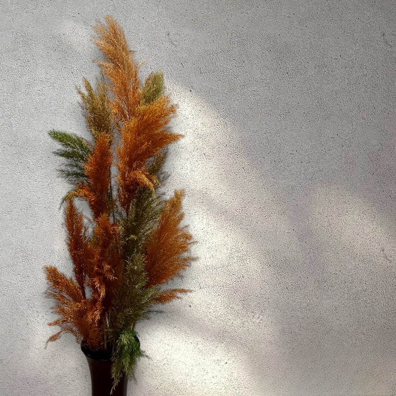 گل خشک مدل پامپاس پاک شده مجموعه 6 عددی