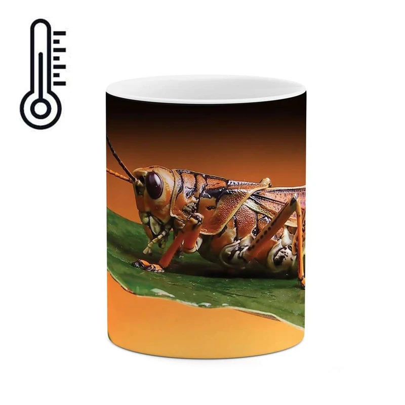 ماگ حرارتی کاکتی مدل ملخ کد mgh10081