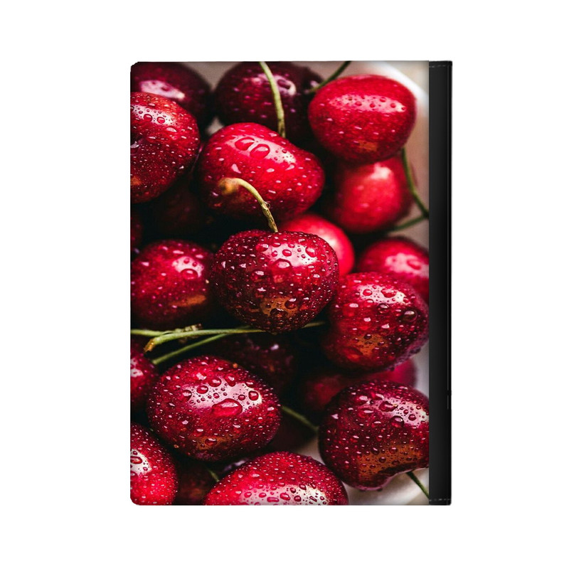 کلاسور مدل آلبالو کد 1538