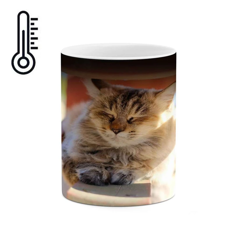 ماگ حرارتی کاکتی مدل گربه کد mgh17134