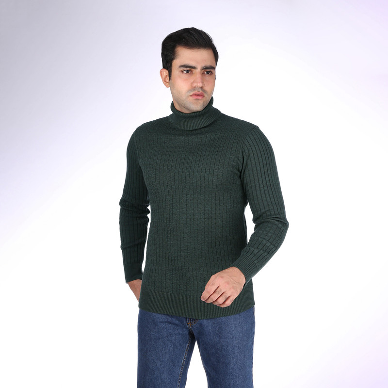 پلیور یقه اسکی مردانه تریکو پاییزان مدل PE800 رنگ یشمی