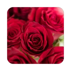 زیر لیوانی کاکتی طرح گل مدل mp16769