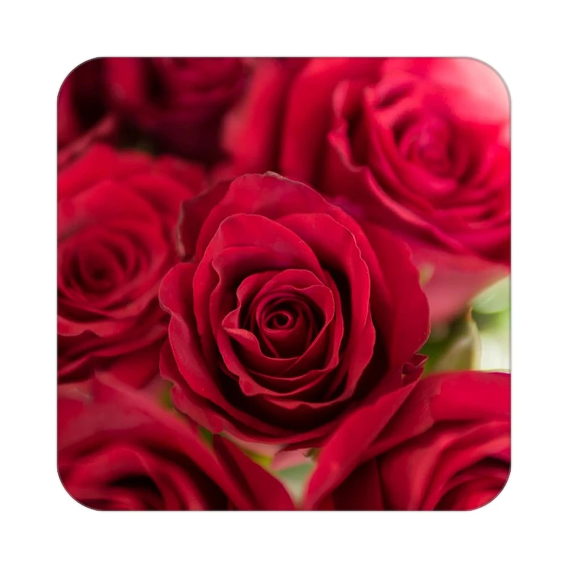 زیر لیوانی کاکتی طرح گل مدل mp16769