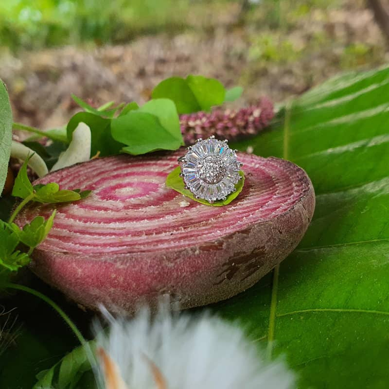 پیرسینگ گوش زنانه پایتخت مدل PS283