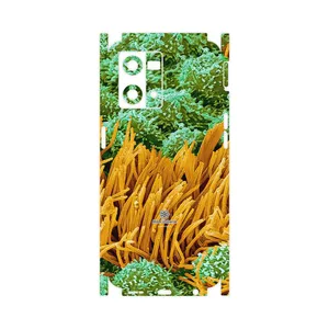 MAHOOT Atom Universe 6-FullSkin Cover Sticker for Oppo Reno 8 4G
