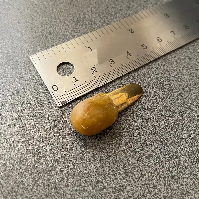 مضراب تار مدل فاخته