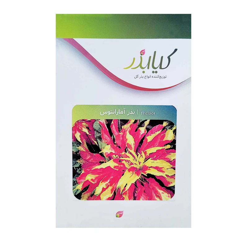 بذر گل آمارانتوس کیا بذر کد 022