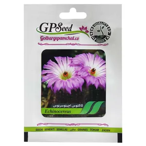 بذر کاکتوس اچینوسرئوس گلبرگ پامچال کد GPF-179