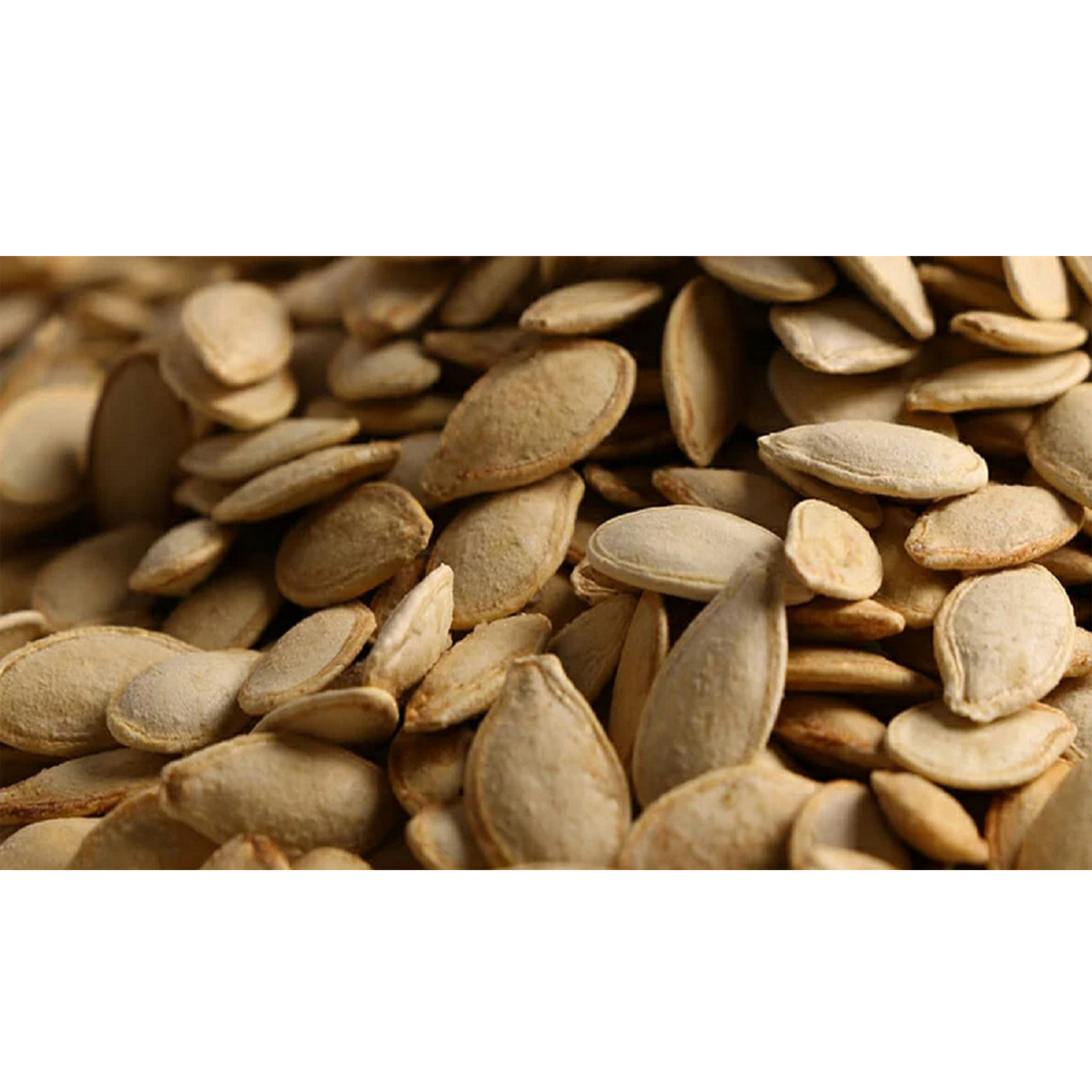 تخمه کدو گوشتی بوداده محلی ممتاز تجارتکده ملل - 500گرم