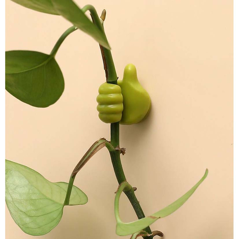 نگهدارنده شاخه طرح دست مجموعه 5 عددی