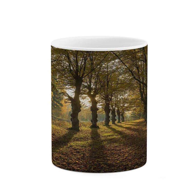 ماگ کاکتی مدل منظره کد mgh16253