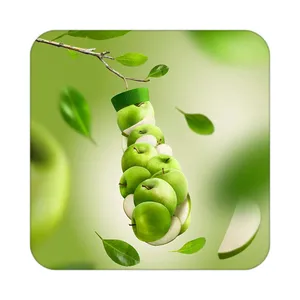 زیر لیوانی کاکتی طرح میوه مدل mp22114