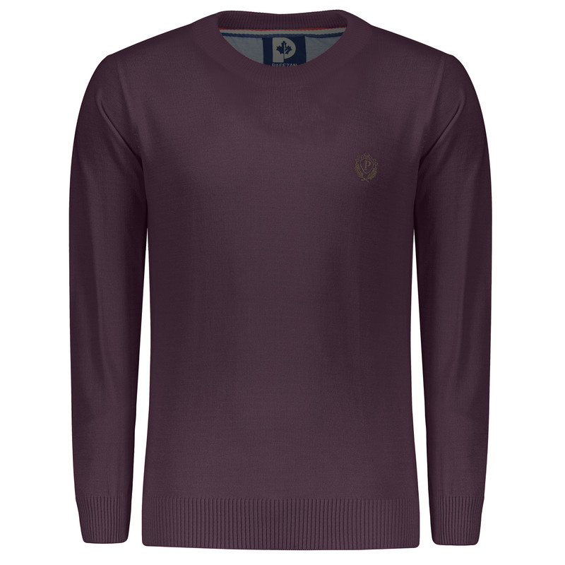 پلیور مردانه تریکو پاییزان مدل PR700 رنگ بادمجانی