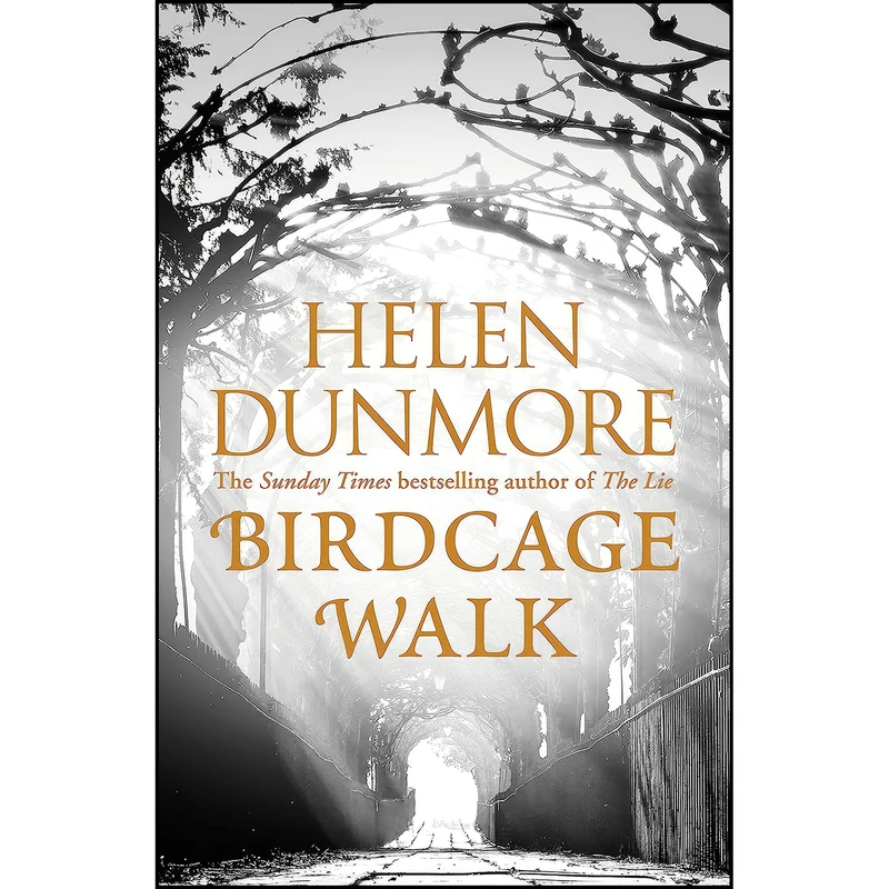 کتاب BIRDCAGE WALK اثر Helen Dunmore انتشارات HUTCHINSON BOOKS