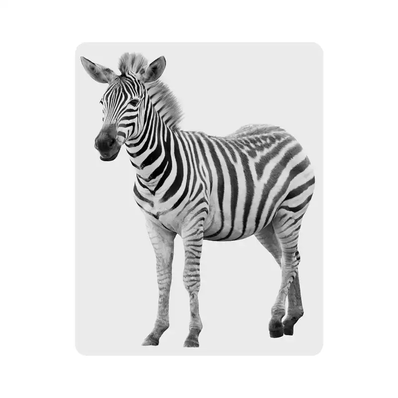 ماوس پد اطلس آبی طرح گورخر مدل T2023