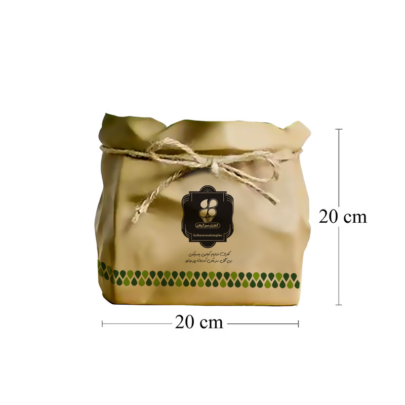 گیاه طبیعی نهال شمشاد گلباران سبز گیلان مدل GN2-KSH7