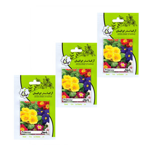 بذر گل پامچال آرکا بذر ایرانیان مدل A10 مجموعه 3 عددی 